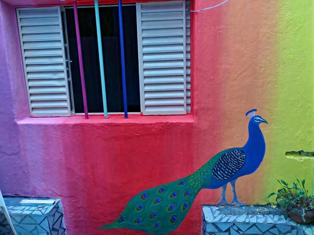 Sao Paulo Wanderlust G Hostel, Sao Paulo